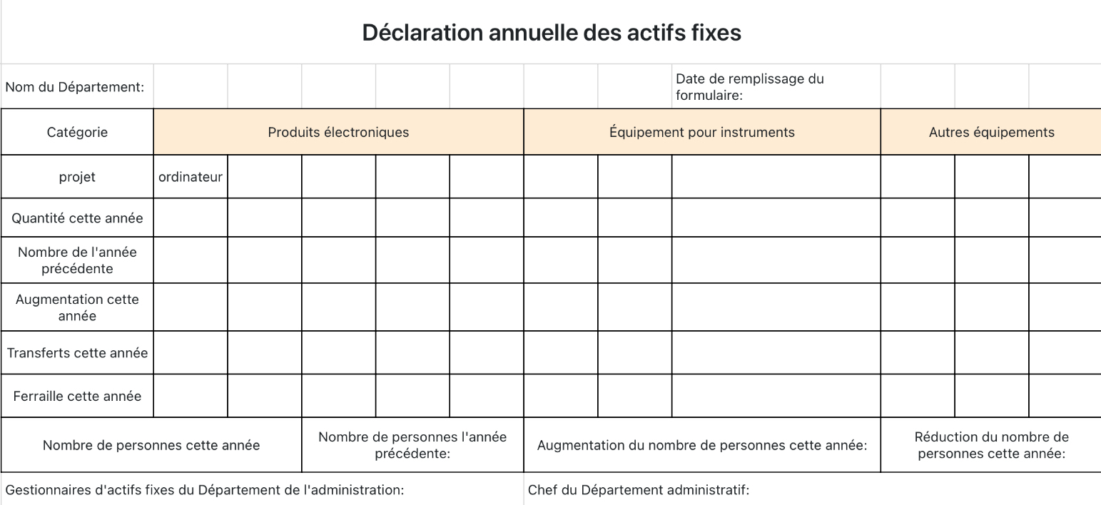 Déclaration annuelle des actifs fixes